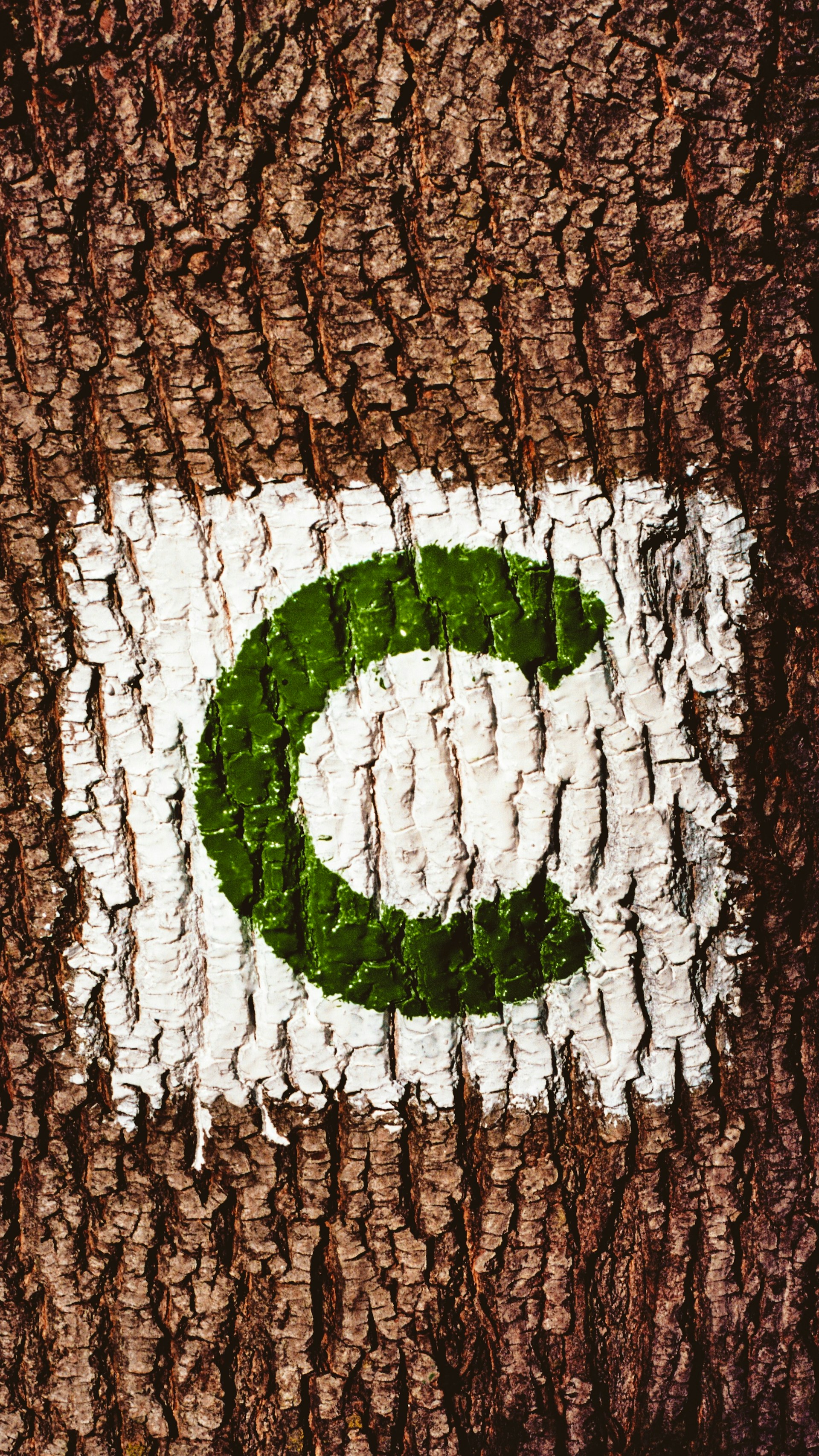 Refresh C Programming